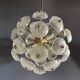 Dandelion chandelier, Kamenický Šenov, 1970s, price per piece