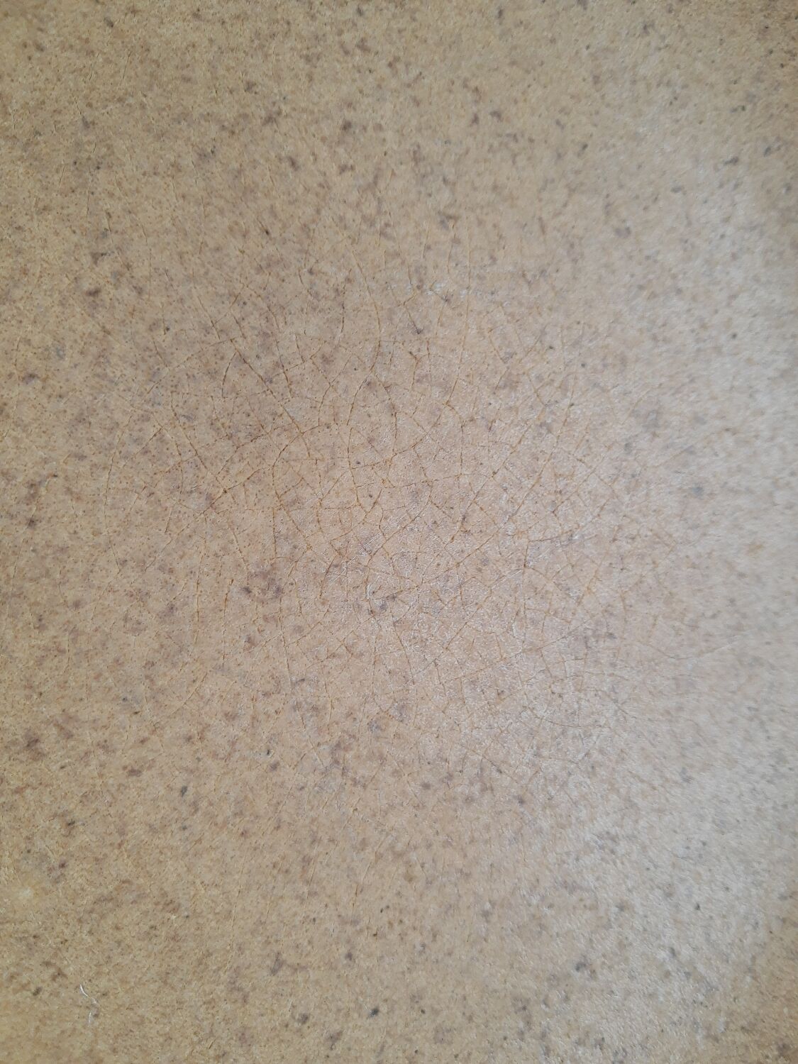 Trio of vintage Chantilly France stoneware dinner plates