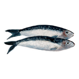 “2 sardines” by Joseph Rethlin