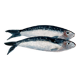 "2 sardines" par Joseph Rethlin