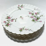 6 dessert plates. Haviland Limoges France. Perfect condition