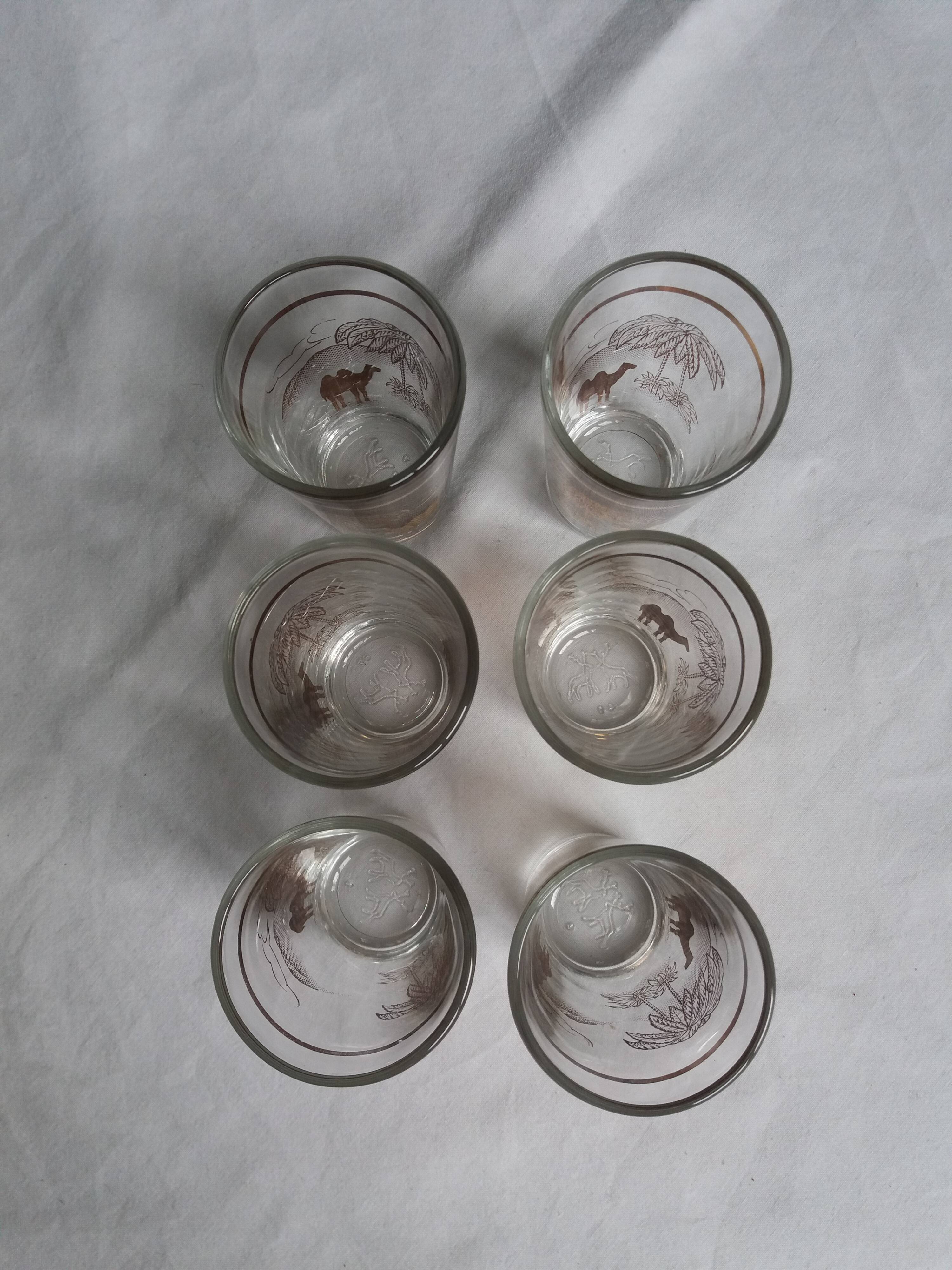 6 tea glasses golden décor camel palm