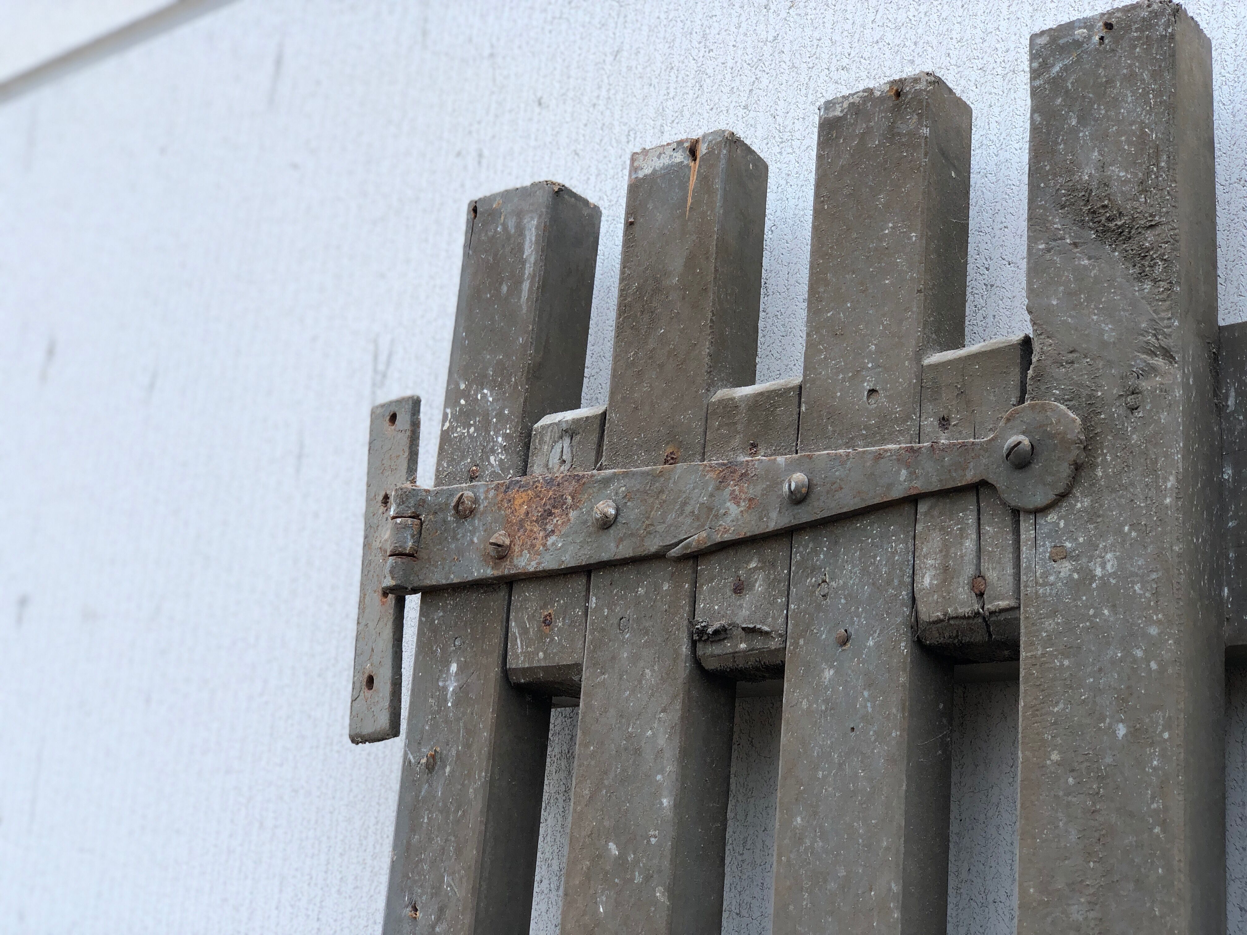 Pair of wooden doors