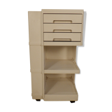 Architect Giovanni Pelis