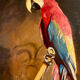 Bird's painting