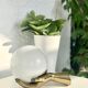 Pair of brass "hands" wall lamps, Arlus 1960