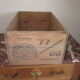 Old santa clara plum case