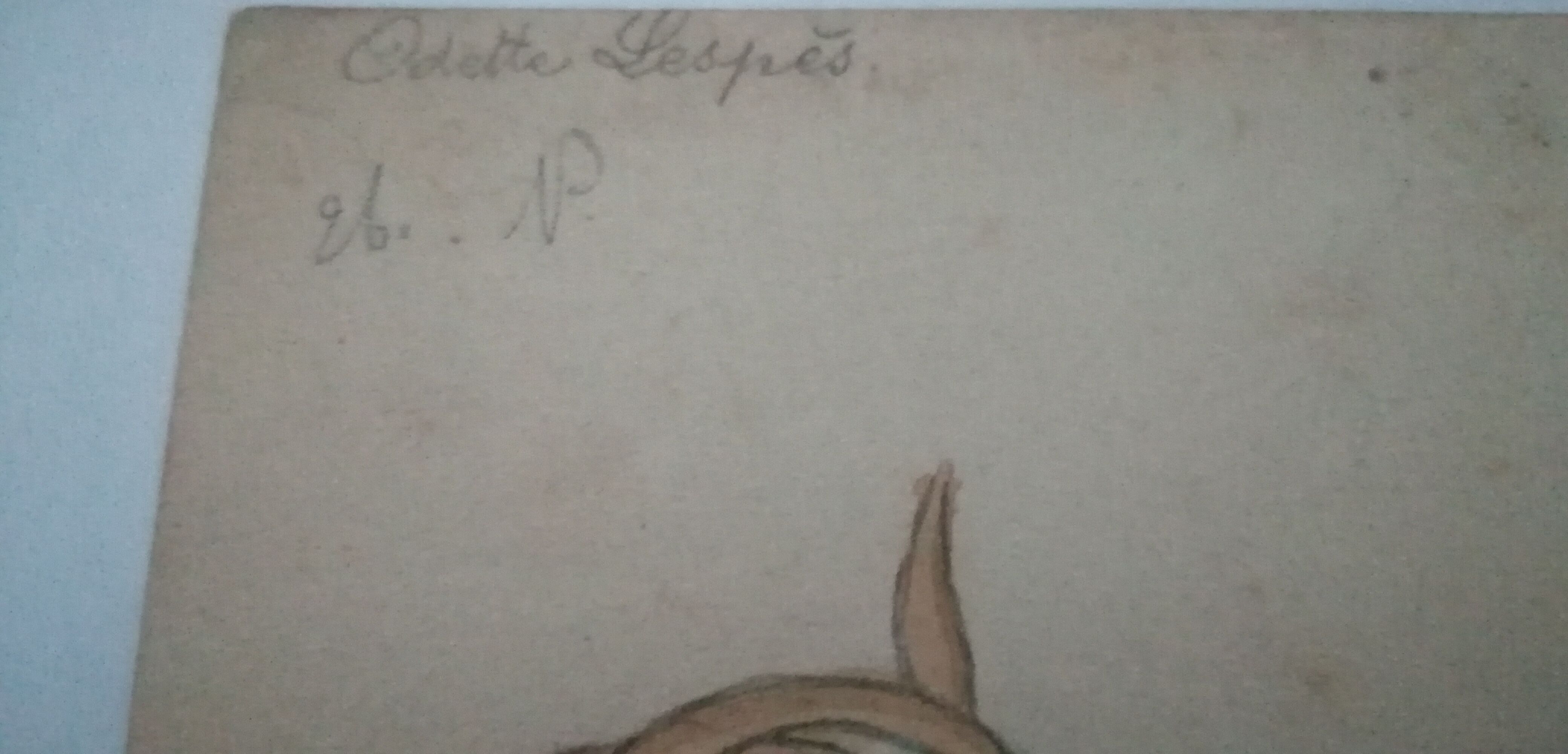 School drawing, study old 20s "onion / turnip"