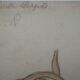 School drawing, study old 20s "onion / turnip"