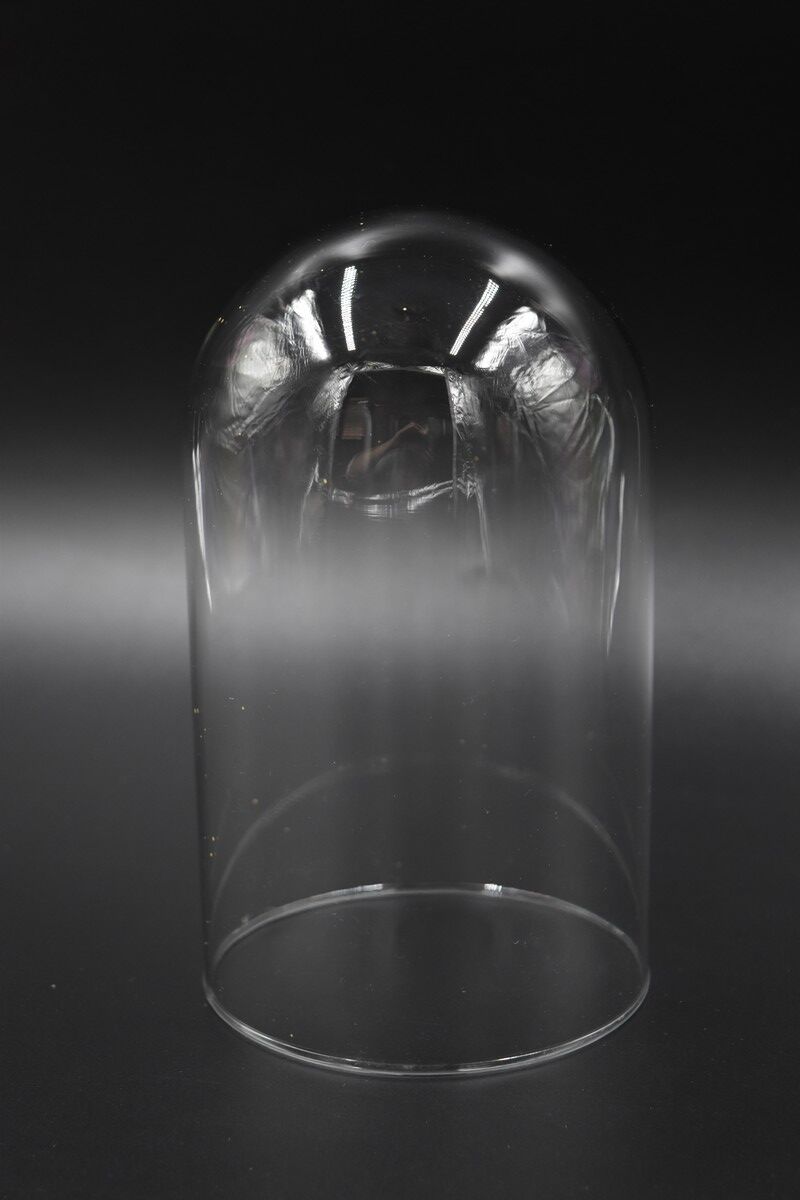 Glass bell globe for decoration cabinet of curiosity