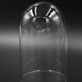 Glass bell globe for decoration cabinet of curiosity