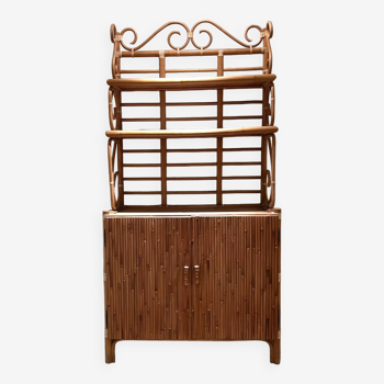 Vintage rattan bookcase with two doors