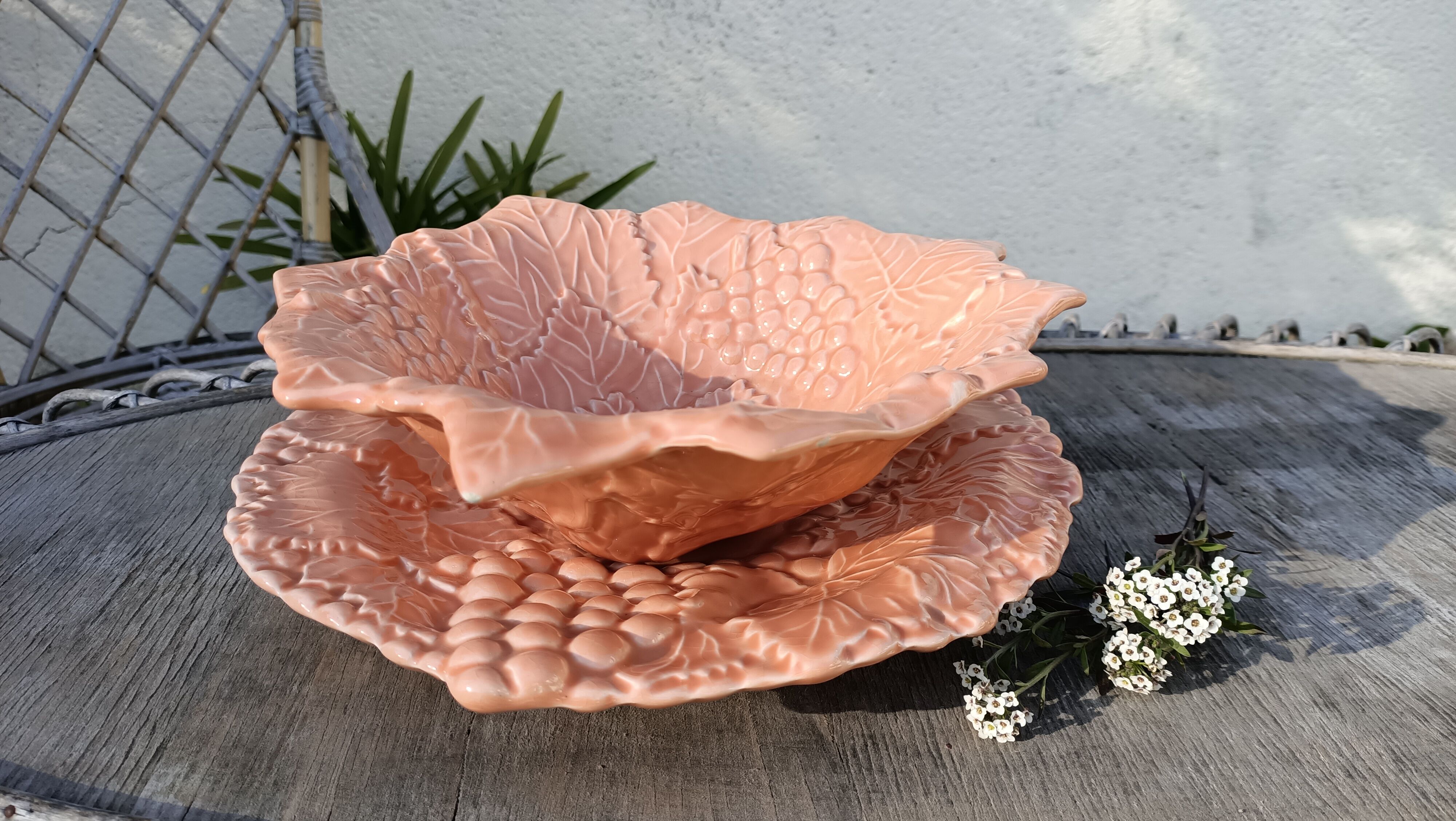 Drainer and slurry dish