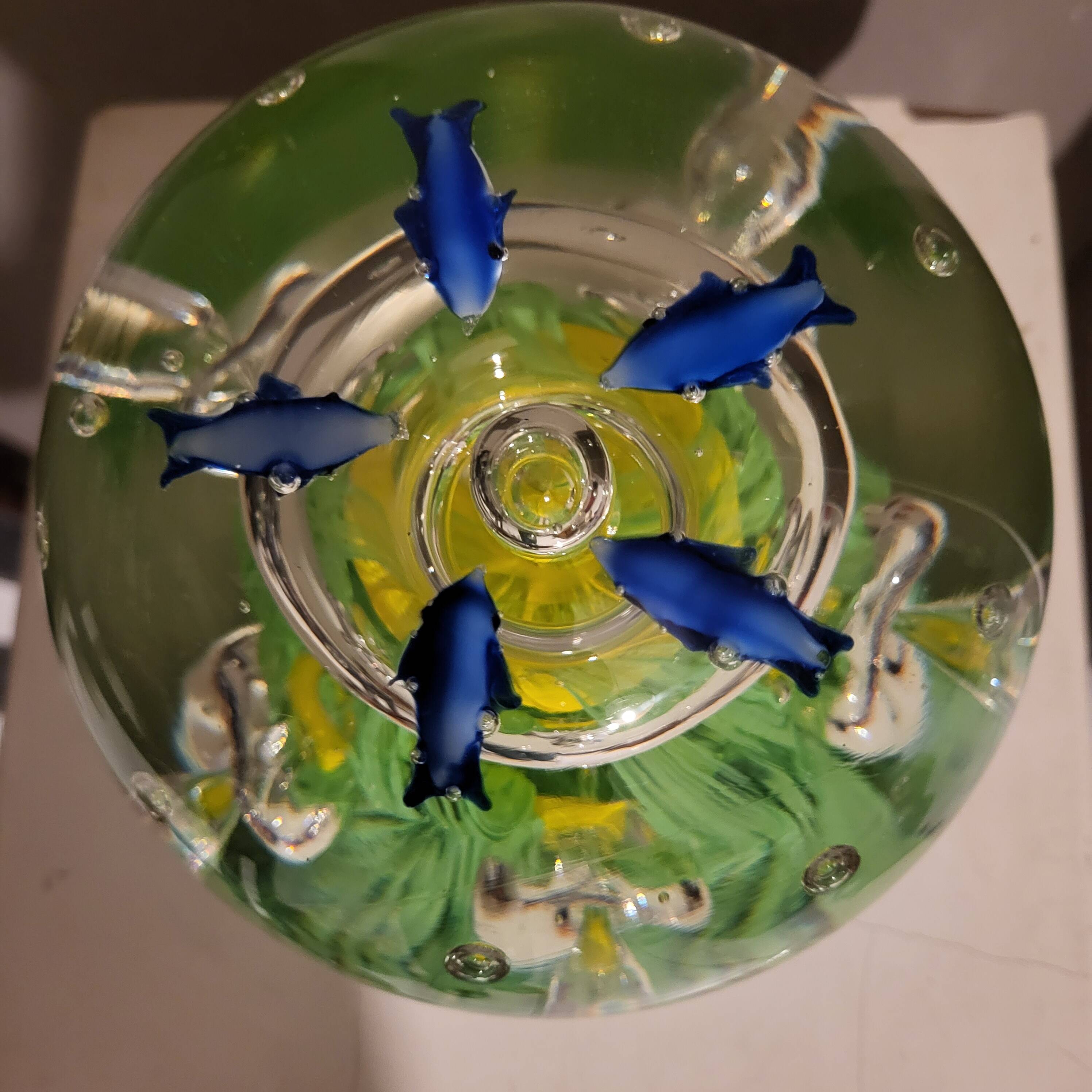 Sulfure aquarium xxl