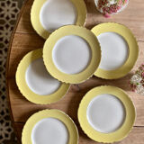 Set of 6 vintage dessert plates