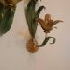 Floral single-arm wall lights, wall sconces, toleware, French vintage enamel.