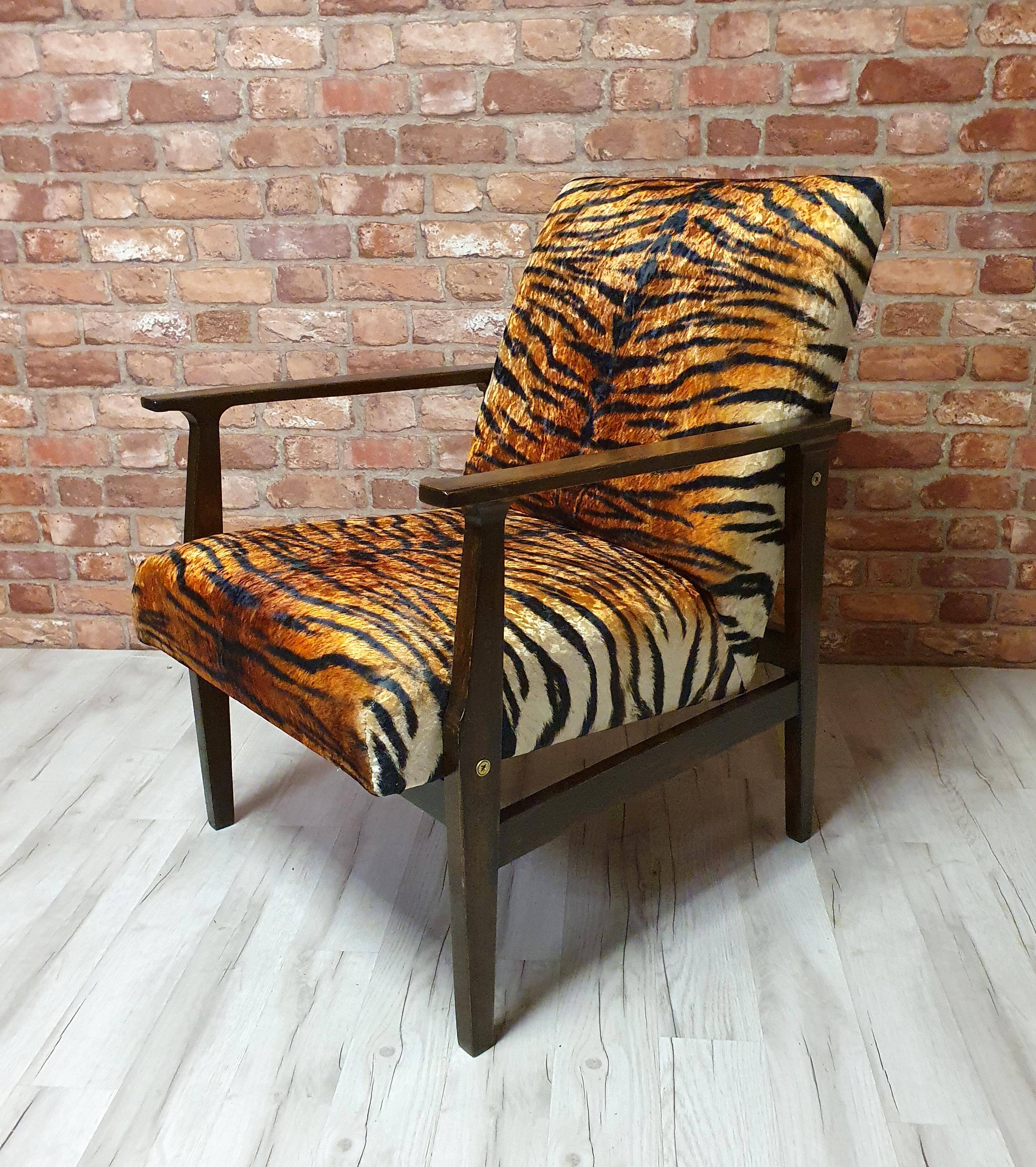 Renovated armchair BW-14, Tiger, Poland 1960s