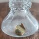 Antique Italian glass ewer carafe