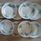 10 antique ironstone dinner plates