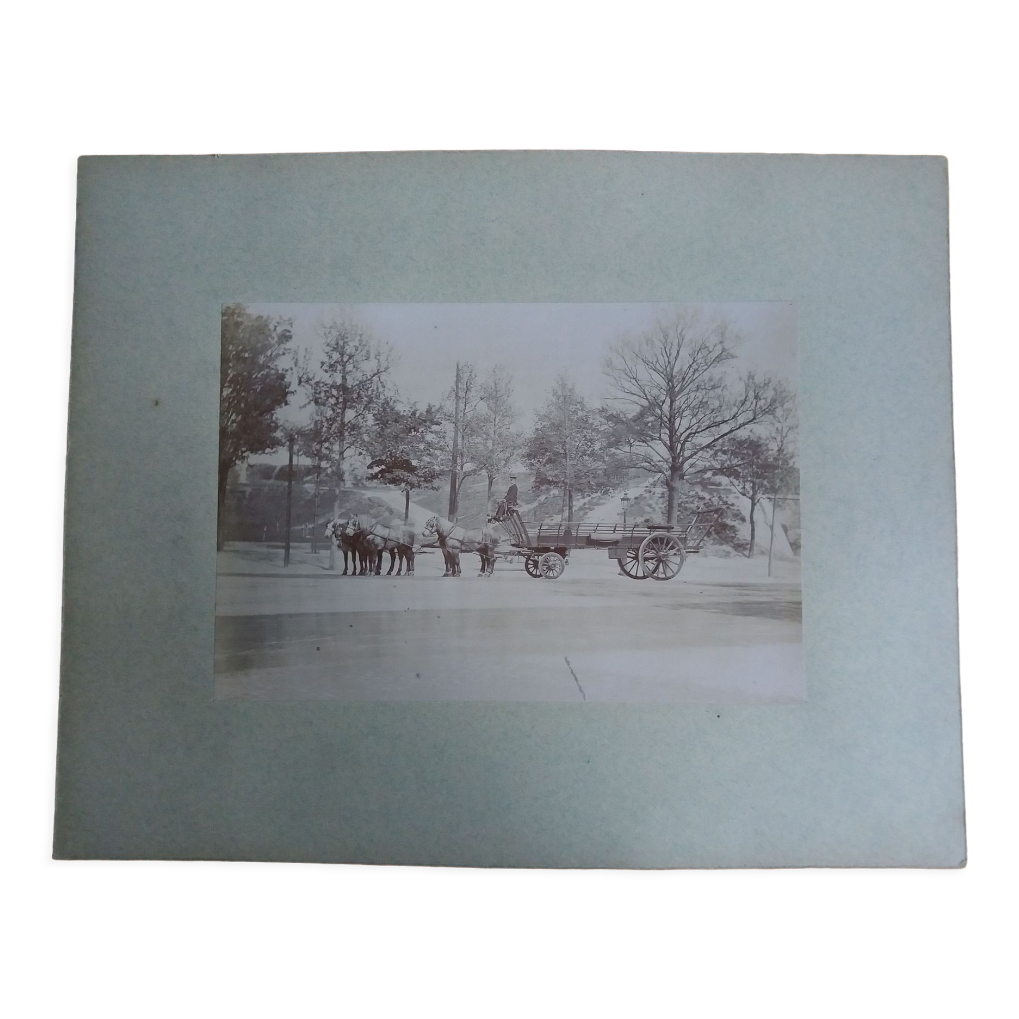 Old photograph 1900 cart, coachman and horses