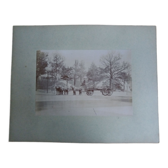 Old photograph 1900 cart, coachman and horses