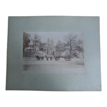 Photographie ancienne 1900 carriole cocher et chevaux