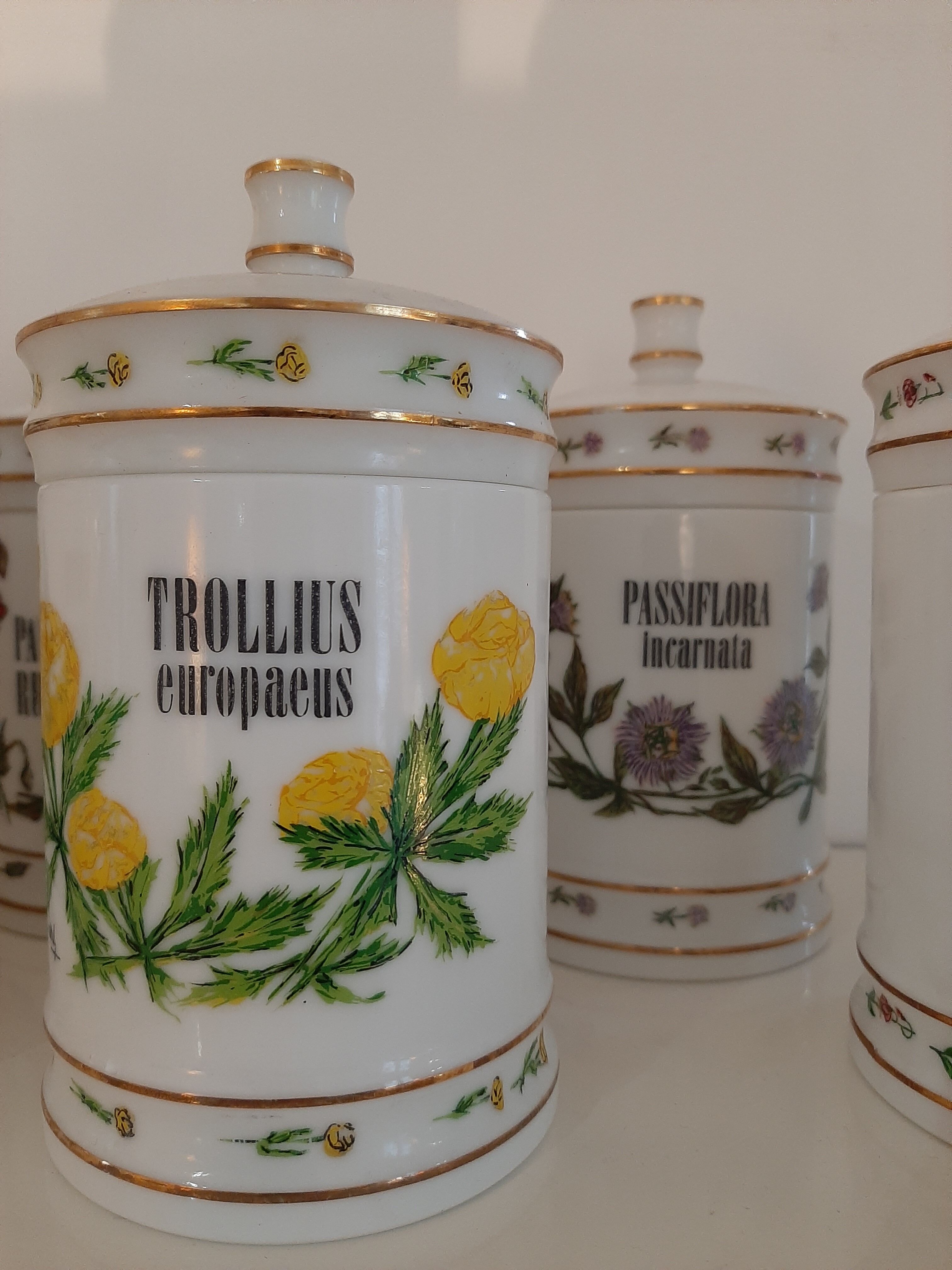 Series of 7 pharmacy jars in opaline