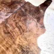 Texas cowhide rug, 1970
