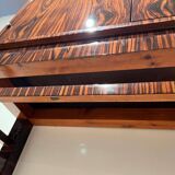 Tall Art Deco Cabinet in Macassar Veneer and Mahogany, France, 1930s