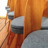 Set of five chairs, design. A. Suman, Tatra Nabytok, Czechoslovakia, 60s