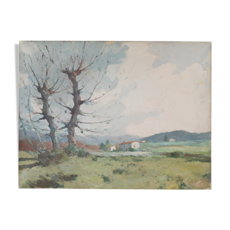 Landscape with trees and mountains