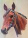 Ancient tableau HST "Horse's head" (20th century)