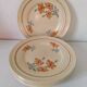 Set of 6 vintage orange and blue floral plates – 1950s