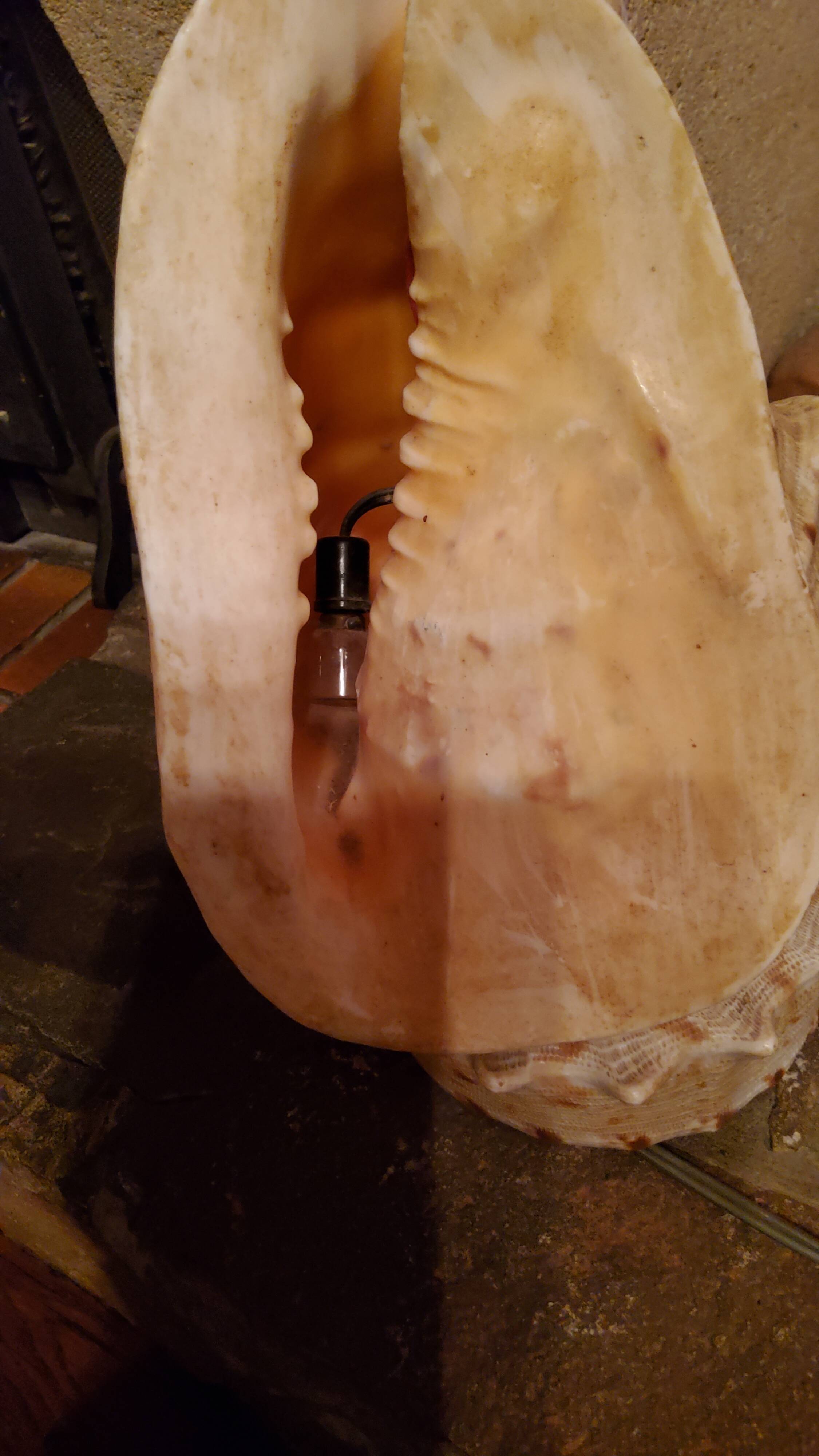 Shell lamp from the 50s