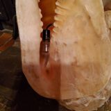 Shell lamp from the 50s