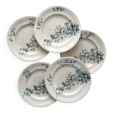 5 assiettes plates en terre de fer « Mignon » Longwy