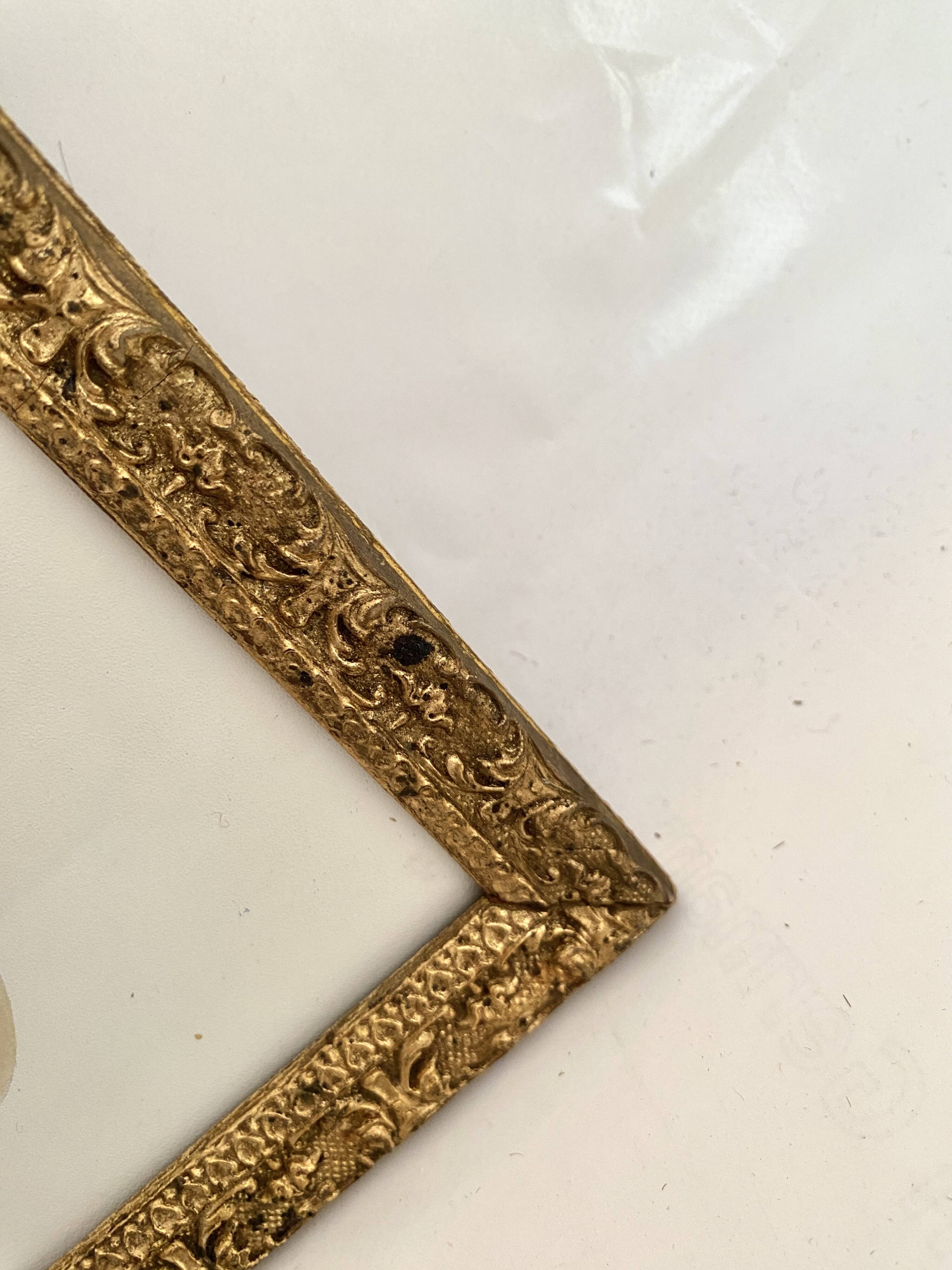 American botanical plate under glass