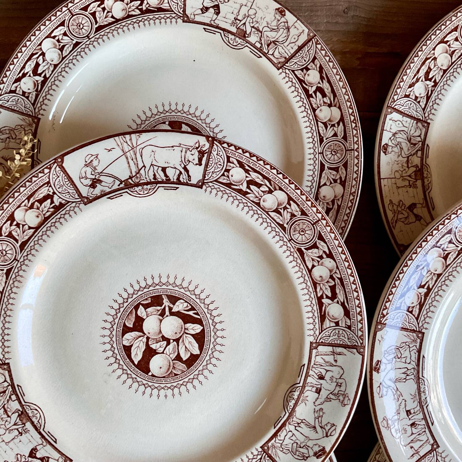 6 BROWNFIELD & SONS “Chelsea” England plates