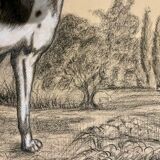 French Charcoal and white chalk drawing "English Pointer Dog Portrait",  1890s