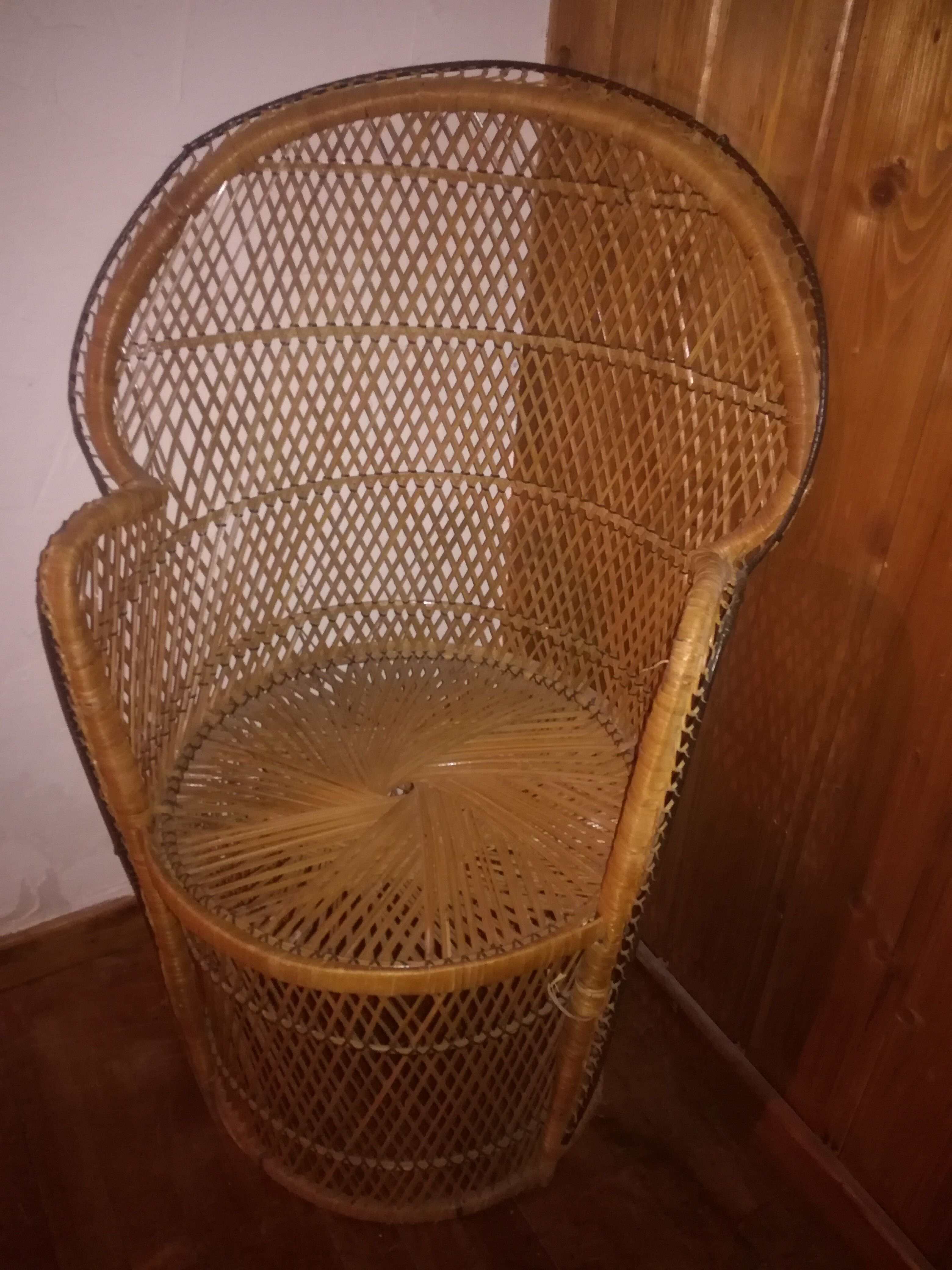 Adult rattan chair