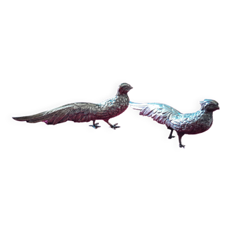 Two silver pheasants