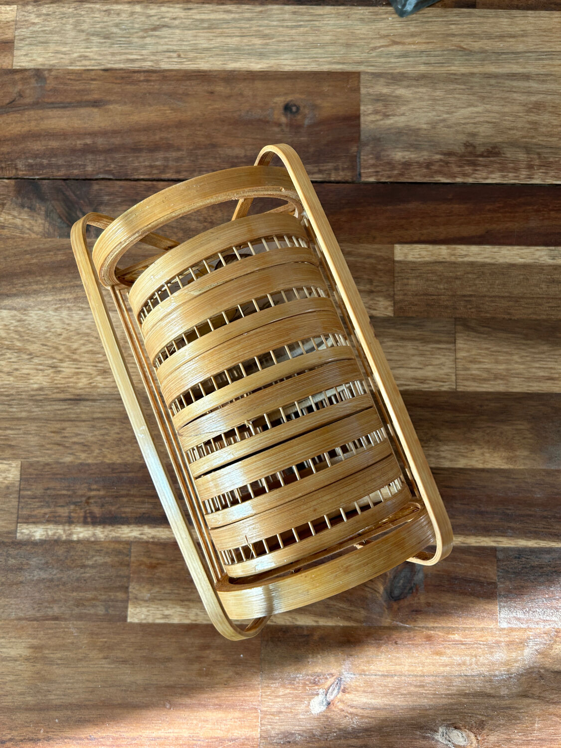 Set of 6 under glass butterfly