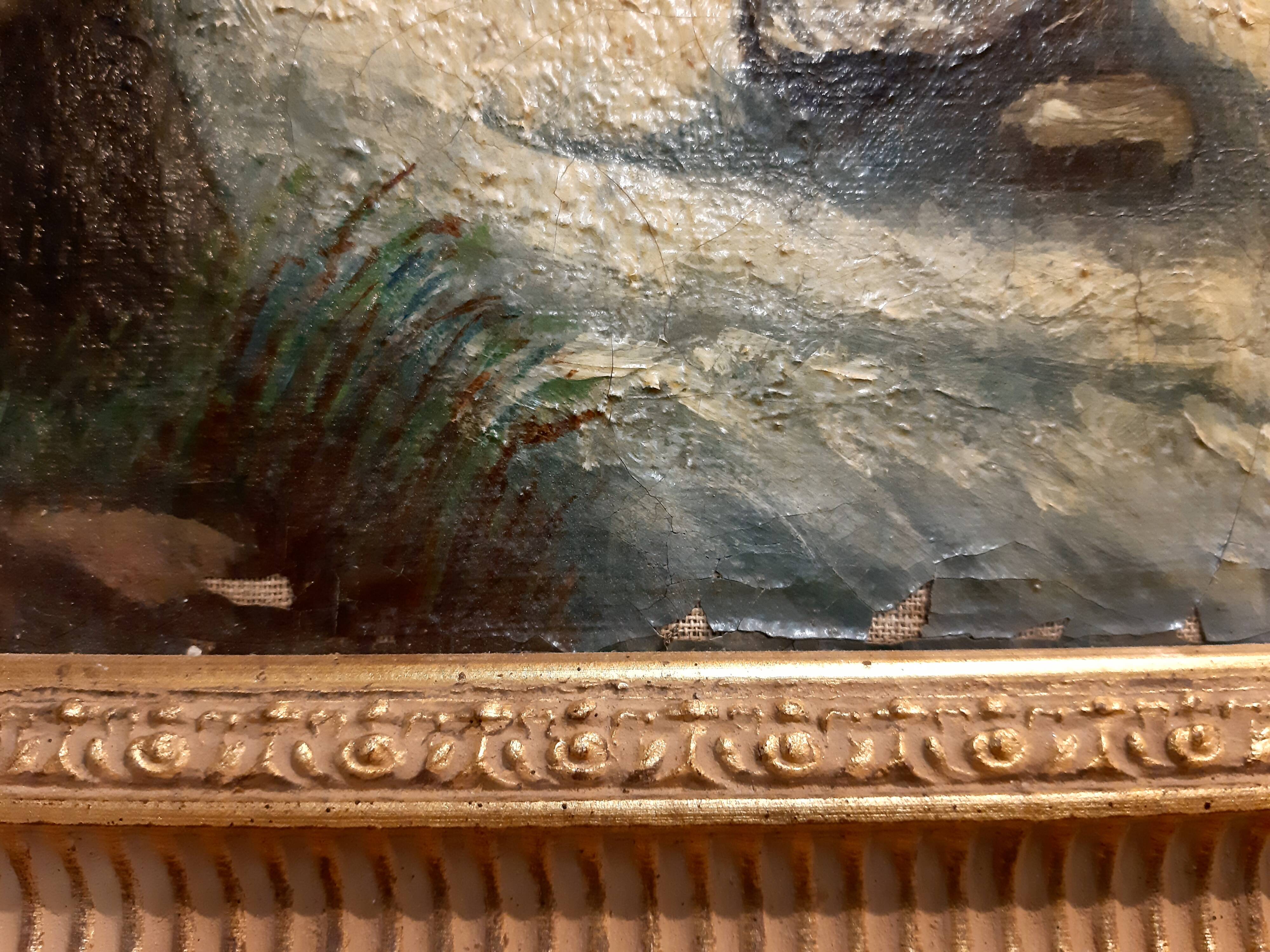 Table mountain landscape