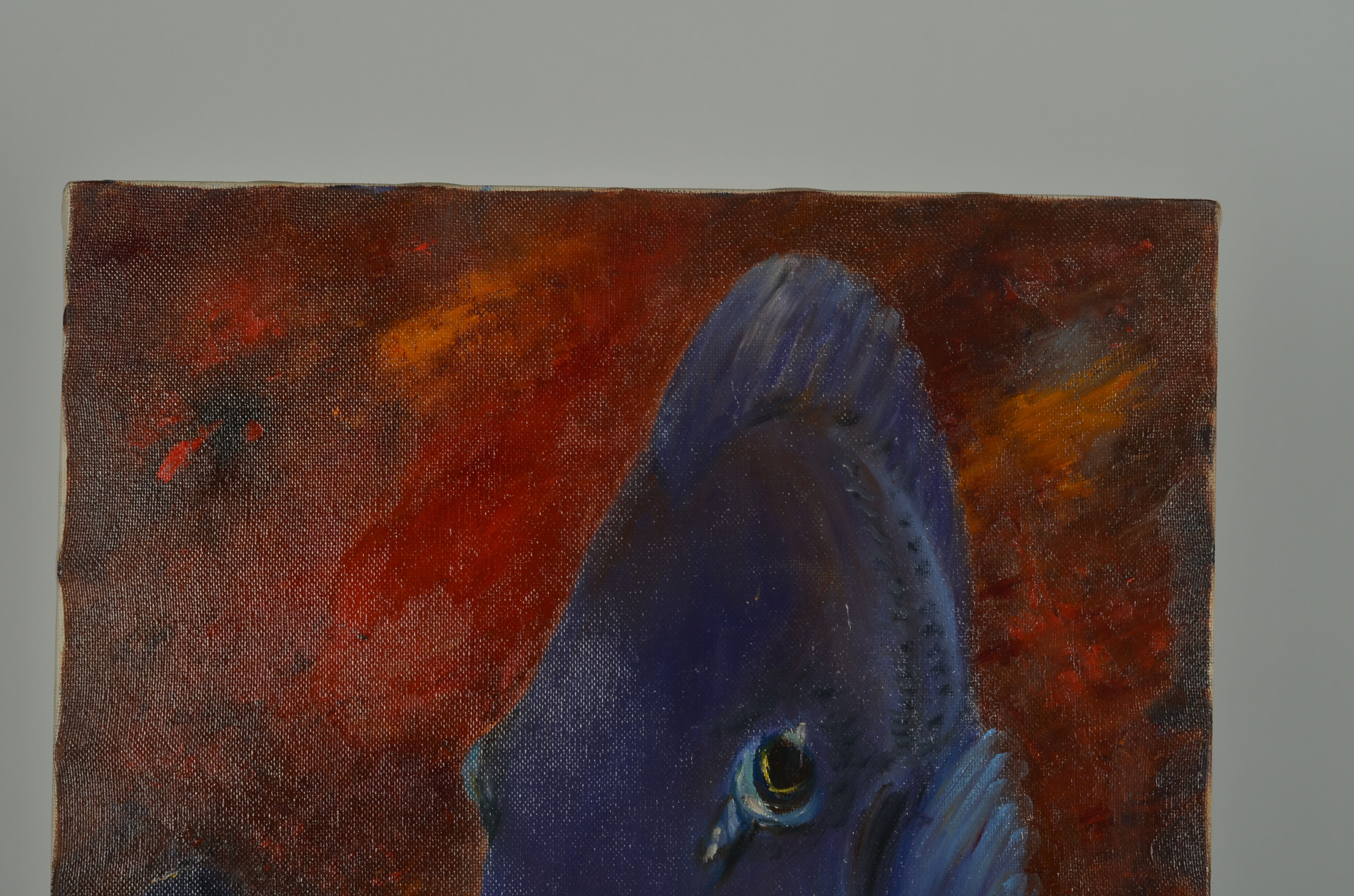 Oil on canvas blue surgeon fish