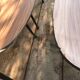 Set of 6 chairs compass annes 50 feet