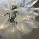 Pair of Murano chandeliers in petal by Paolo Venini