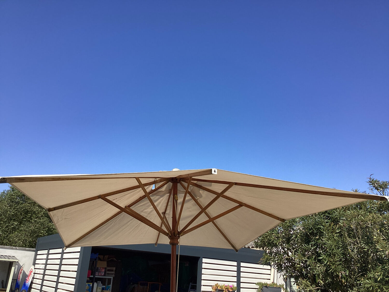 Parasol structure in exotic wood