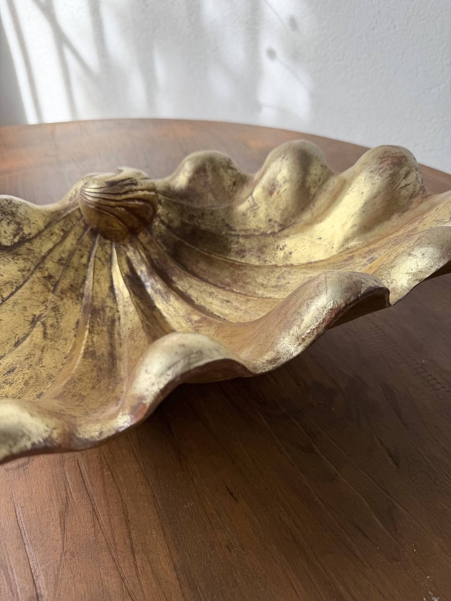 Immense wooden plate 1900 shell with golden patina