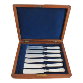 Box 6 fish knives in mother-of-pearl and English silver metal