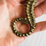 Décapsuleur hippocampe